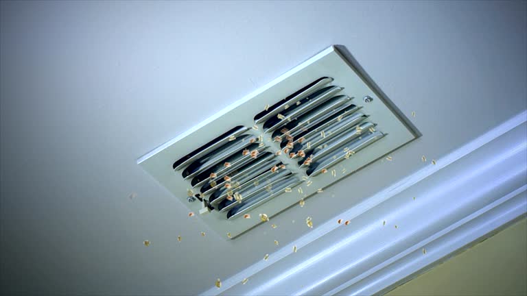 Best HVAC System Cleaning  in Northlake, IL