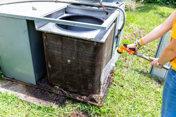Best Air Duct Mold Removal  in Northlake, IL